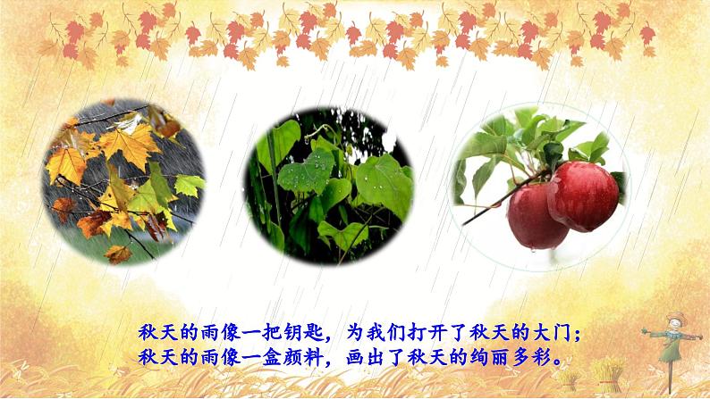 部编版语文三年级上册 第6课《秋天的雨》（第一课时）课件+同步教案+导学案+同步练习02