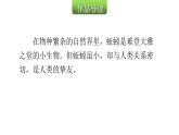 人教版小学语文五年级上册主题阅读第五单元10人类的挚友——蚯蚓课件