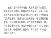 人教版小学语文五年级上册主题阅读第五单元10人类的挚友——蚯蚓课件