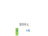 人教版小学语文五年级上册第四单元15小岛课件