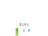 人教版小学语文五年级上册第五单元16太阳课件