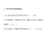 人教版小学语文五年级上册第八单元27我的“长生果”课件