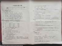 河北省石家庄地区2022-2023学年二年级下学期期末语文练习试题