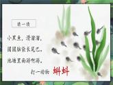 1.小蝌蚪找妈妈 课件+教案+作业