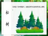 2.树之歌 课件+教案+作业