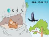 13.寒号鸟 课件+教案+作业
