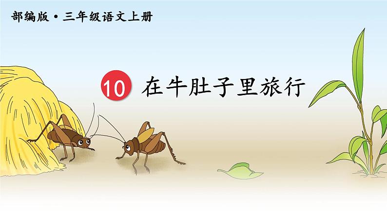 10.在牛肚子里旅行  课件+教案04