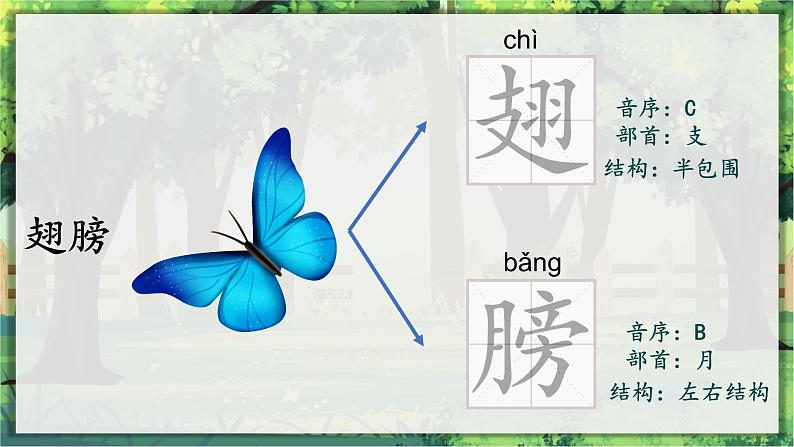 23.父亲、树林和鸟 课件+教案06