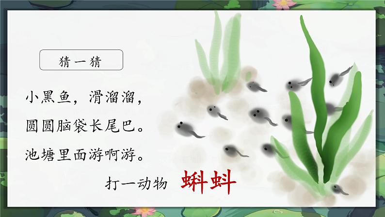 1.小蝌蚪找妈妈 课件+教案+作业01