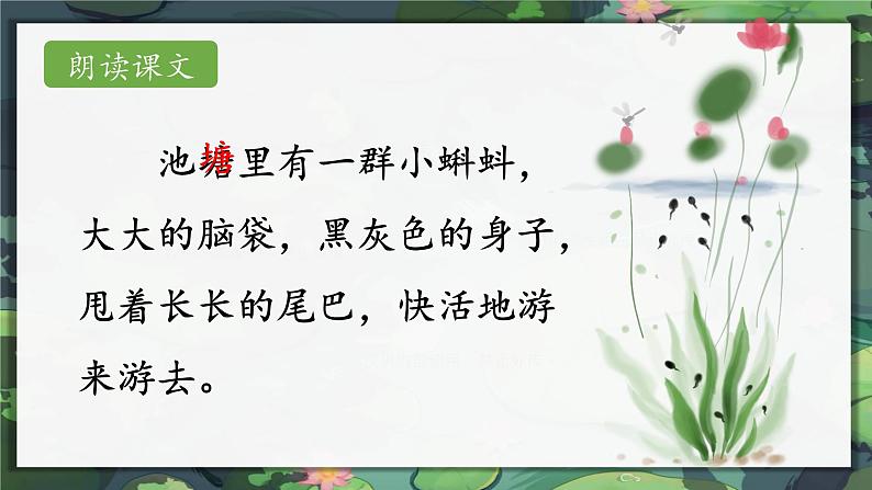 1.小蝌蚪找妈妈 课件+教案+作业06