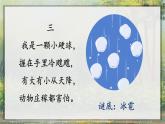 2.我是什么 课件+教案+作业