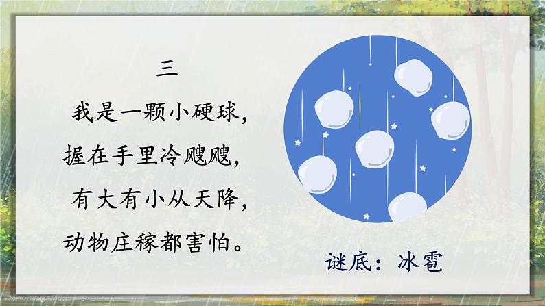 2.我是什么 课件+教案+作业03