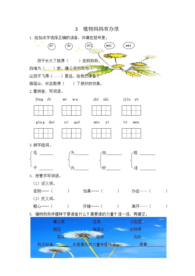 3.植物妈妈有办法 课件+教案+作业01