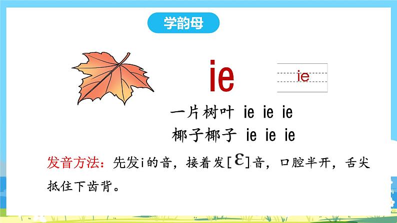 人教部编语文1上 11.《ie üe er》第一课时课件第5页