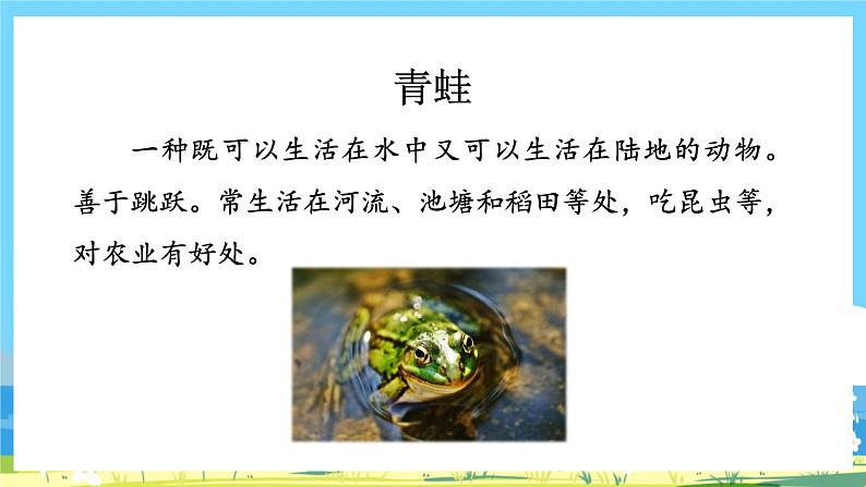人教部编语文1上 7.《青蛙写诗》第一课时课件第3页