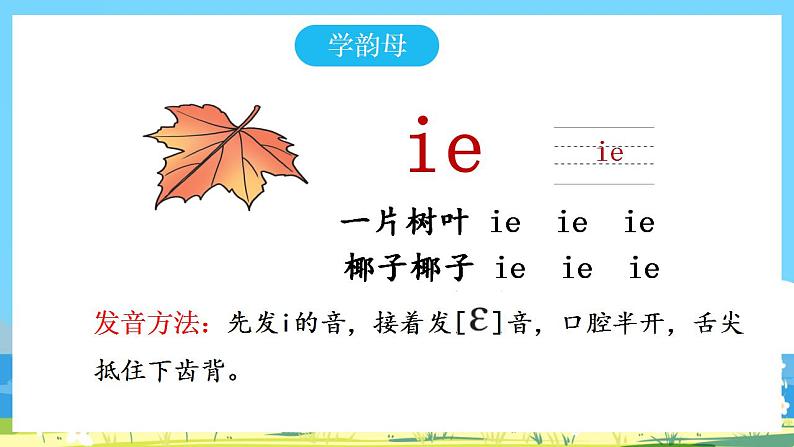 人教部编语文1上 11.《ie üe er》第一课时课件第5页