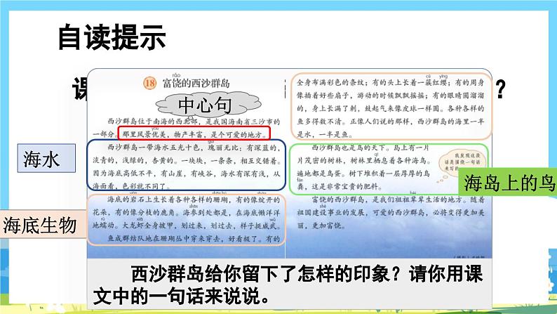 统编版3上语文 6.2 《富饶的西沙群岛》 课件+教案+练习07