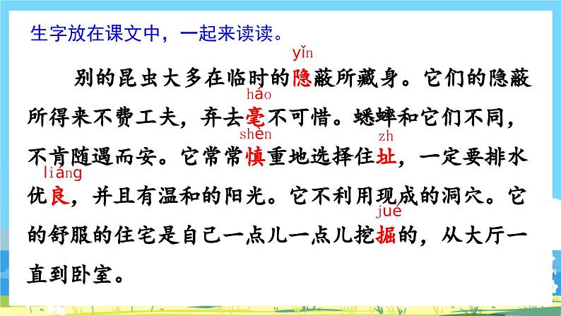 部编版四上语文  11 《蟋蟀的住宅》  课件+教案+练习+素材07