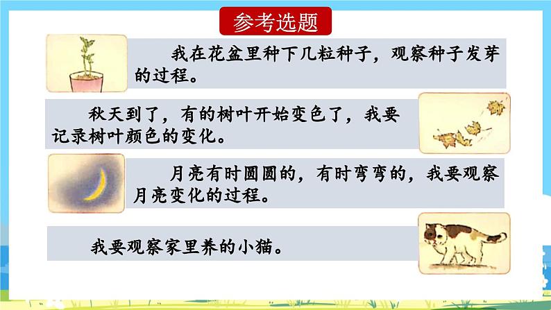 部编版四上语文  《习作：写观察日记》  课件+教案08