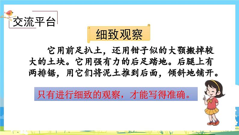 部编版四上语文  《语文园地三 》 课件+教案03