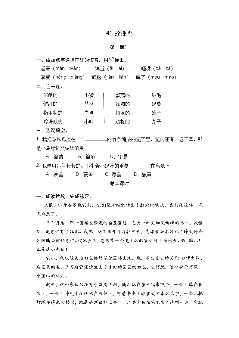 部编版五上语文  4 《珍珠鸟》  课件+教案+练习01