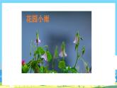 部編版五上語文  《習(xí)作：______即景》  課件+教案
