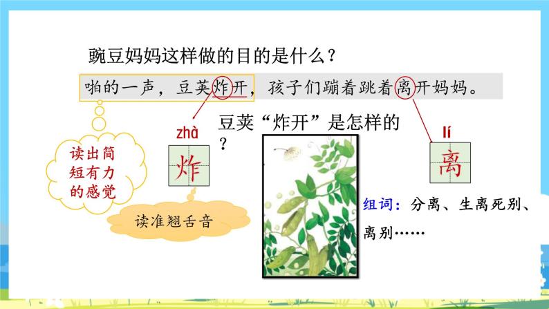 人教部编语文2上 第1单元 3.《植物妈妈有办法》 PPT课件+教案+练习06