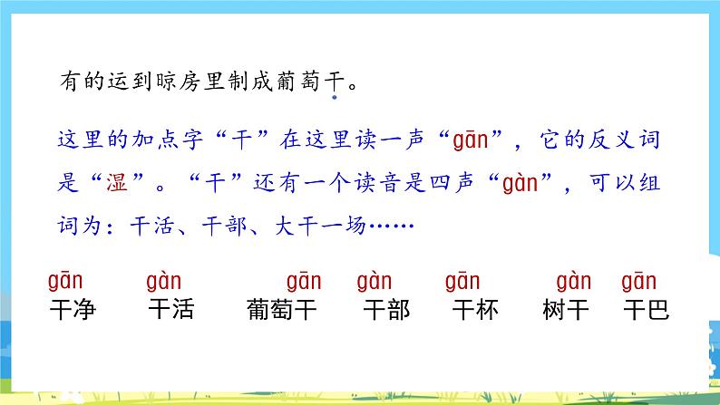 人教部编语文2上 第4单元 11《葡萄沟》 PPT课件+教案+练习05