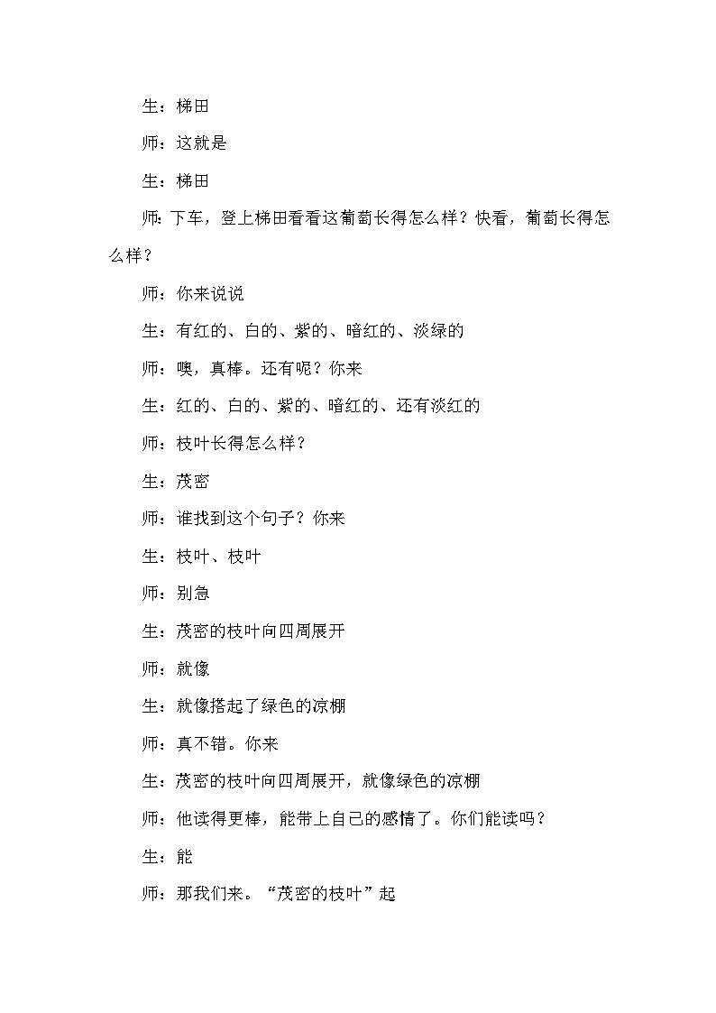 人教部编语文2上 第4单元 11《葡萄沟》 PPT课件+教案+练习03