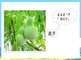 人教部編語(yǔ)文2上 第5單元 14.《 我要的是葫蘆》 PPT課件+教案+練習(xí)