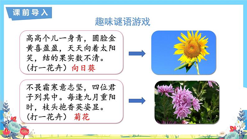 六年级上册语文（人教版）第1单元 4《花之歌》 PPT课件+教案+练习05