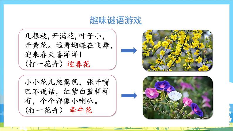 六年级上册语文（人教版）第1单元 4《花之歌》 PPT课件+教案+练习06