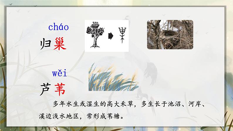 3.现代诗二首（课件+教案）05