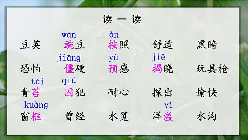 5.一个豆荚里的五粒豆（课件+教案）08