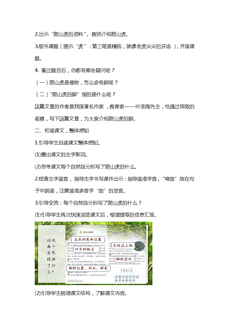10.爬山虎的脚（课件+教案+视频）02