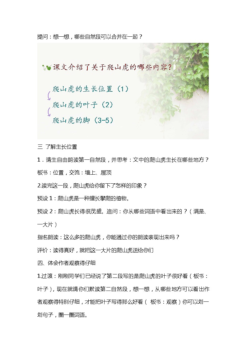 10.爬山虎的脚（课件+教案+视频）03