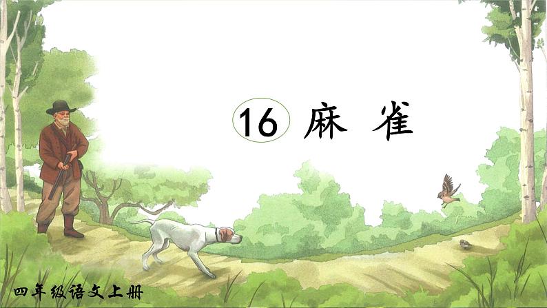 16.麻雀（课件+教案）02