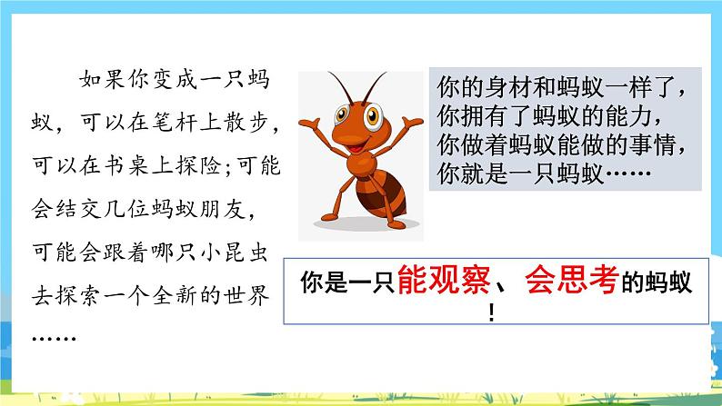 部编版六上语文  《习作：变形记》  课件+教案08