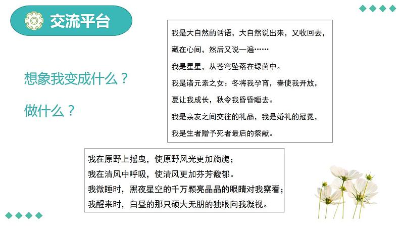 部编版语文六年级上册 第一单元《习作：变形记》教学课件+教案+同步练习+导学案03