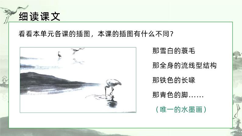 1.白鹭 第二课时 课件+教案06