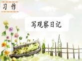 习作：写观察日记PPT+音视频
