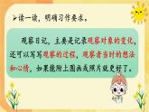 习作：写观察日记PPT+音视频