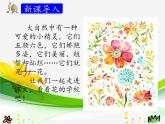 2 花的学校（两课时）课件PPT