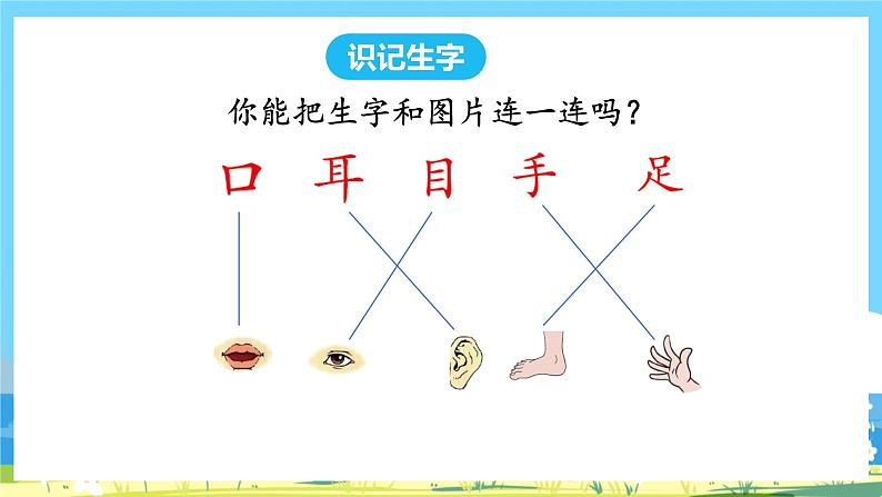 人教部编版一年级上 3 《口耳目》课件 第一课时07