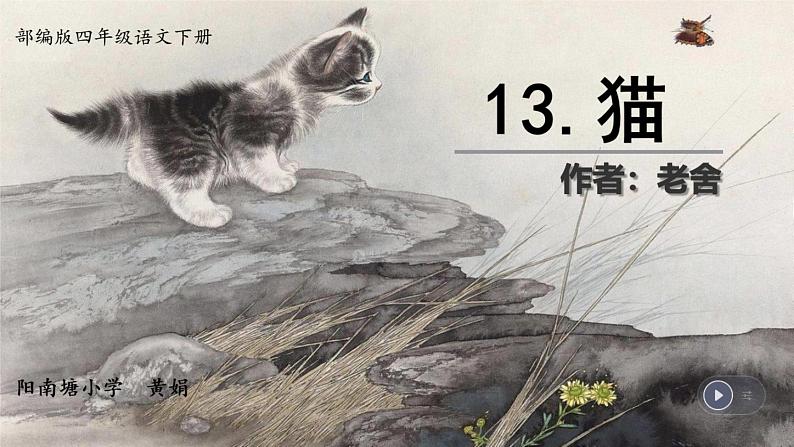 13 《猫》课件01