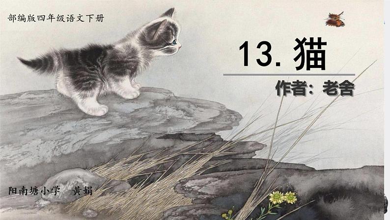 13 《猫》课件03