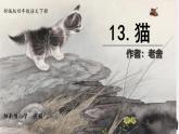 13 《猫》课件