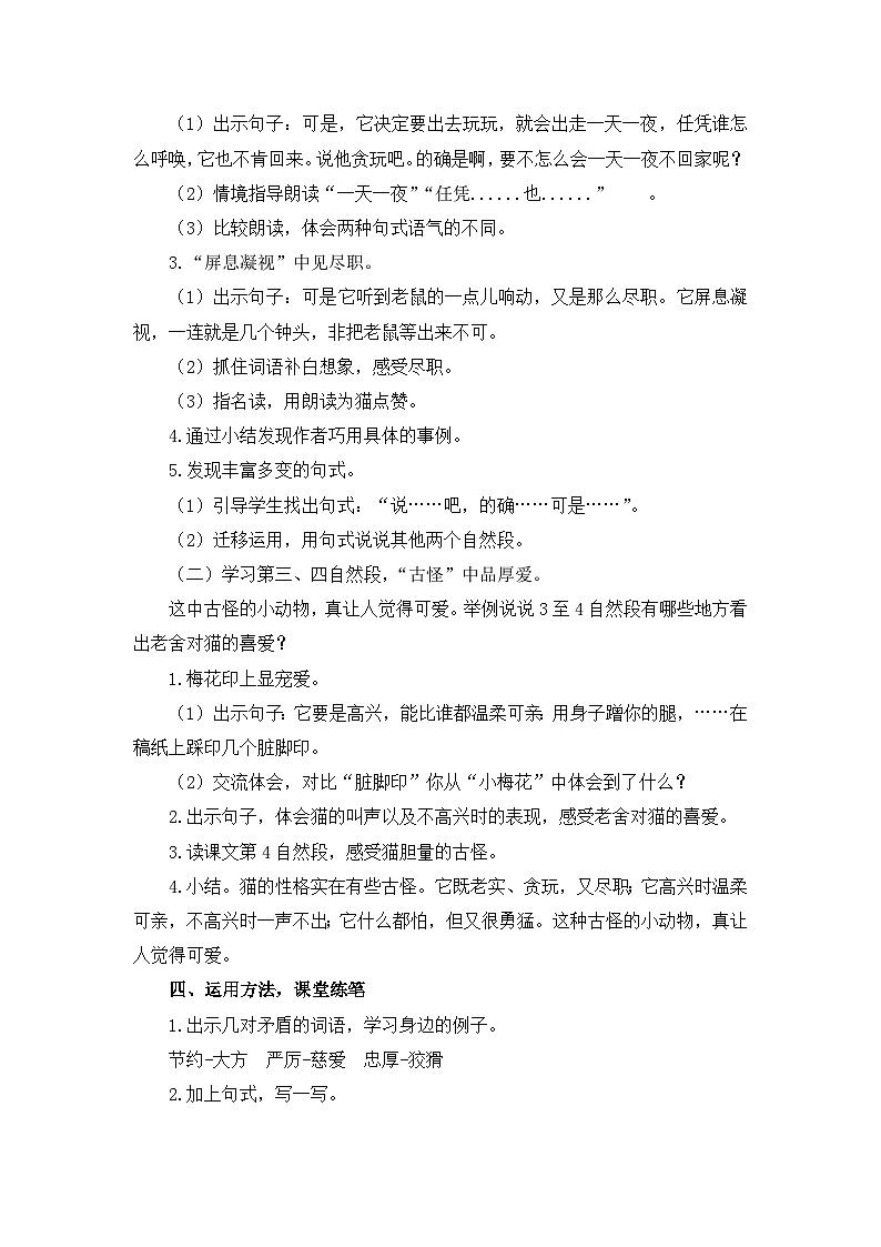 13 猫  教案第3页