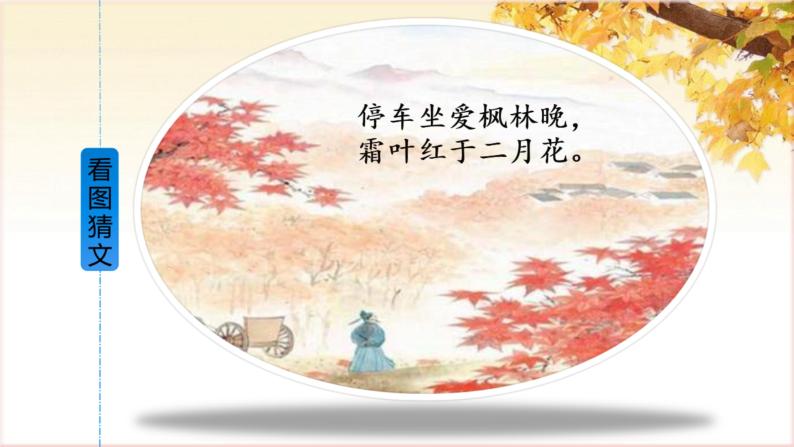 人教部编版三年级上册秋天的雨课文配套ppt课件-教习网|课件下载