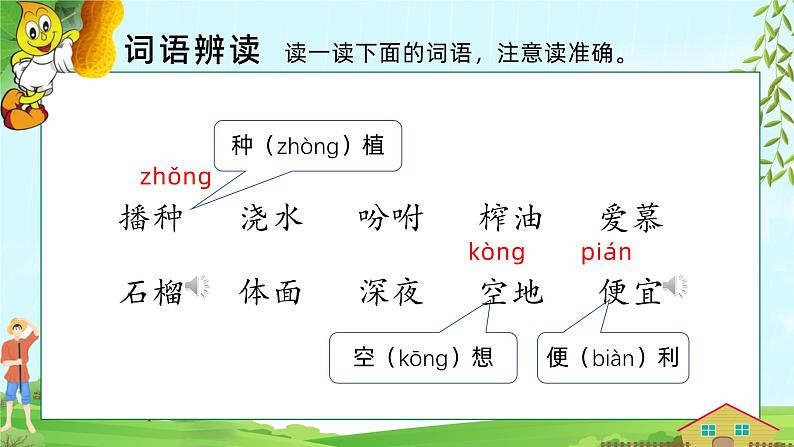 2.落花生 第一课时 课件（含视频）+教案06
